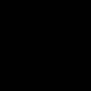 Meet your Posher, Jayla